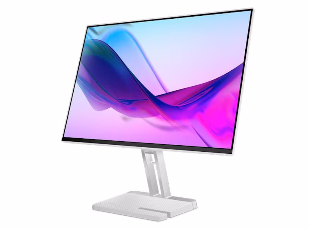 LENOVO L24i-4B - Priključci