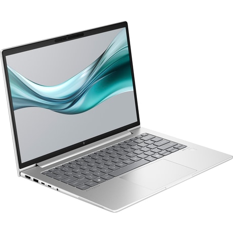 HP EliteBook 645 G11 - Ekran