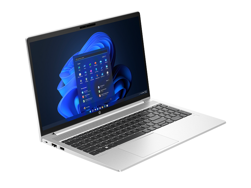 HP 455 G10 ekran