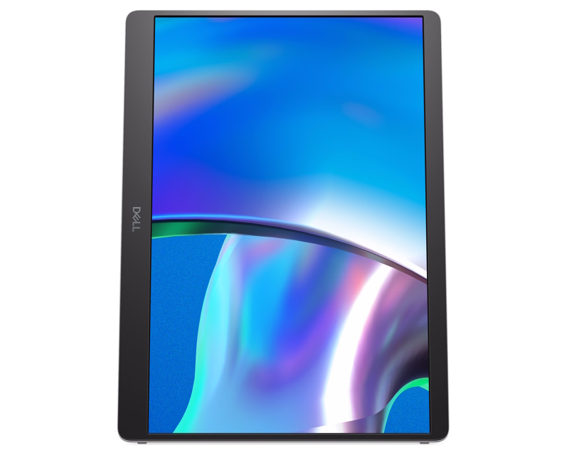 DELL P1425 - Priključci